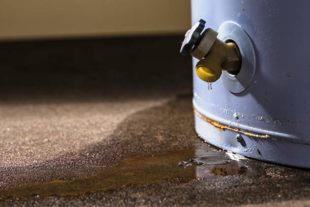 Best Professional water damage repair  in Seven Fields, PA