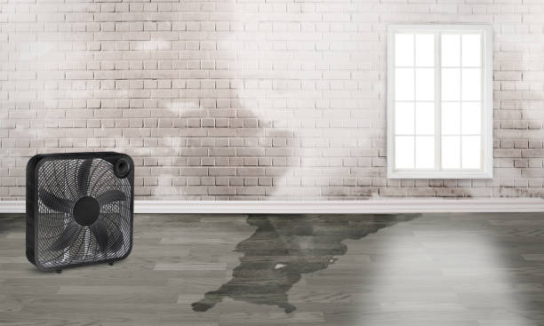 Best Emergency water damage restoration  in Seven Fields, PA