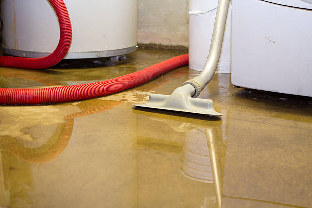 Best Fire Damage Restoration  in Seven Fields, PA