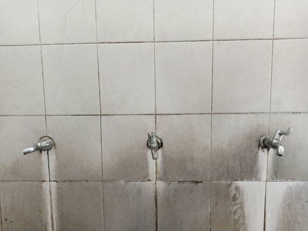 Best Ceiling water damage repair  in Seven Fields, PA