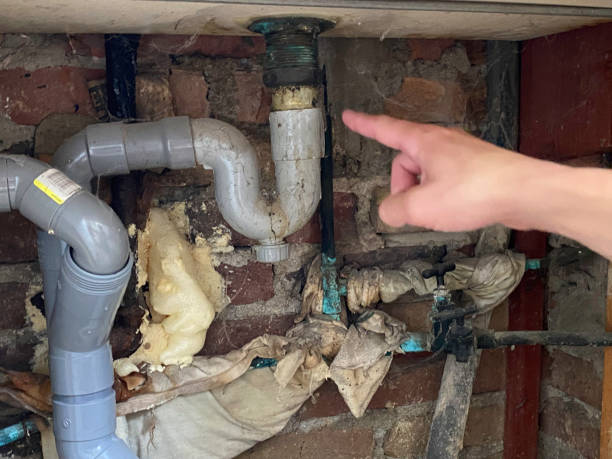 Best Residential water damage restoration  in Seven Fields, PA