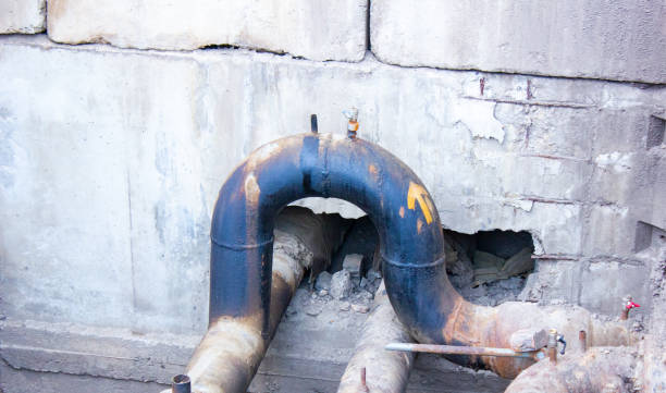 Best Water damage cleanup near me  in Seven Fields, PA