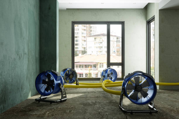 Best 24/7 water damage repair  in Seven Fields, PA