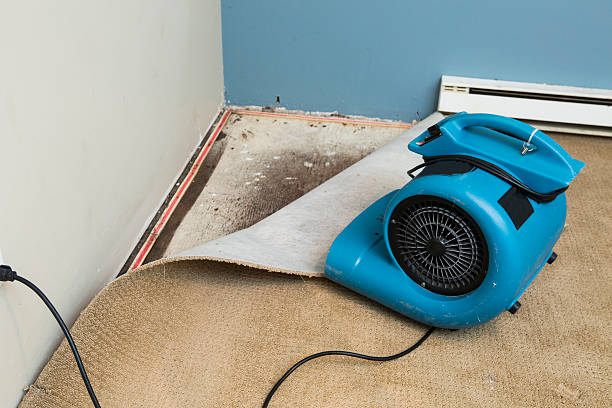Best Water damage restoration specialists  in Seven Fields, PA